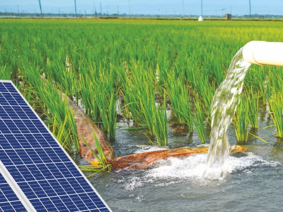 Solar Pumps 